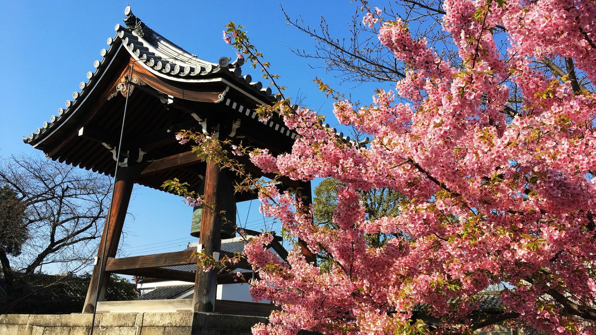 Stay Sakura Kyoto Toji West I Esterno foto