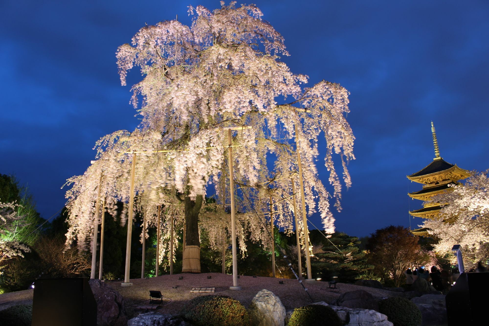 Stay Sakura Kyoto Toji West I Esterno foto