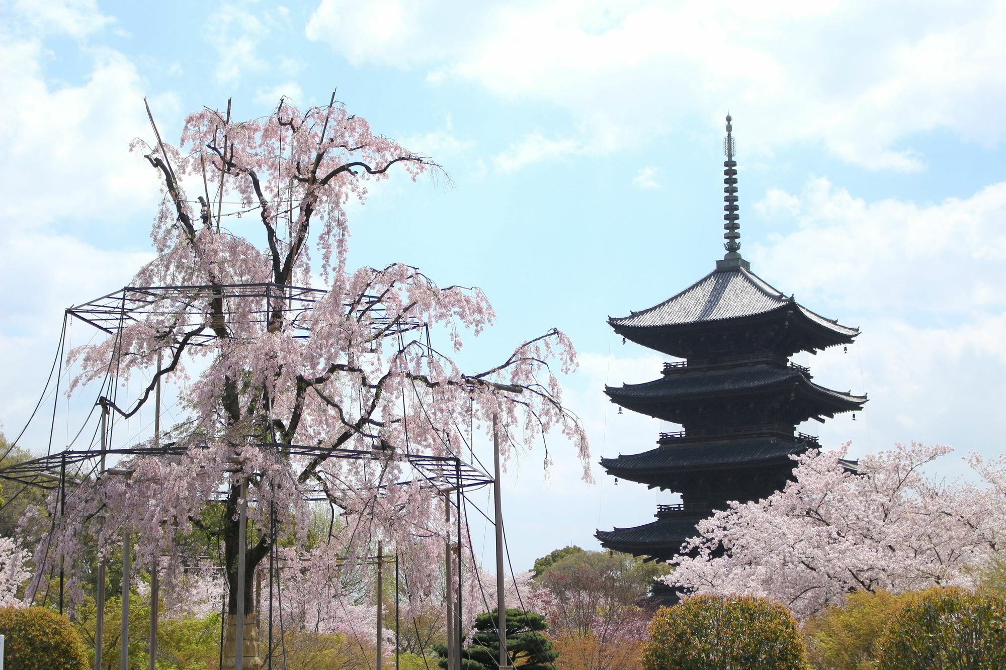 Stay Sakura Kyoto Toji West I Esterno foto