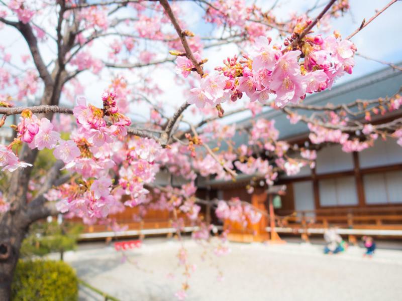 Stay Sakura Kyoto Toji West I Esterno foto