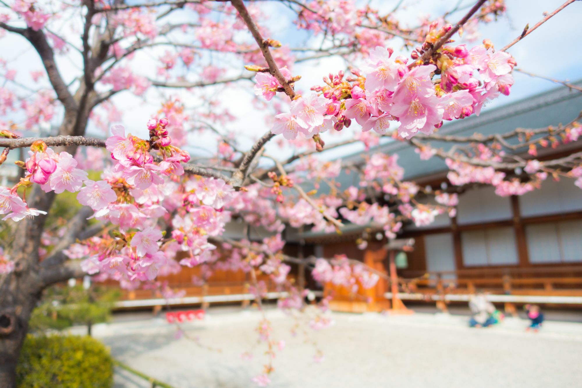 Stay Sakura Kyoto Toji West I Esterno foto